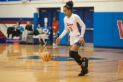 Basketball: Tuscola at West Henderson (BR3_4836)