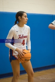 Basketball: Tuscola at West Henderson (BR3_4889)