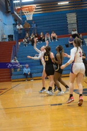 Basketball: Tuscola at West Henderson (BR3_4929)