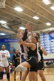 Basketball: Tuscola at West Henderson (BR3_4994)
