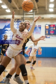 Basketball: Tuscola at West Henderson (BR3_4996)