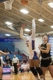 Basketball: Tuscola at West Henderson (BR3_5015)