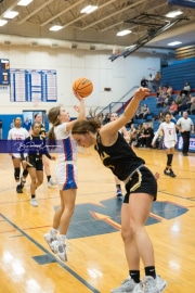 Basketball: Tuscola at West Henderson (BR3_5059)