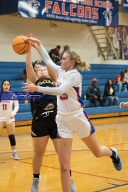 Basketball: Tuscola at West Henderson (BR3_5168)