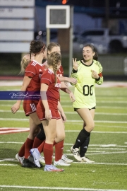 Hendersonville Soccer (BR3_0303)