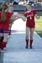 Hendersonville Soccer (BR3_8984)