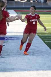Hendersonville Soccer (BR3_9000)