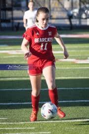 Hendersonville Soccer (BR3_9100)