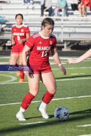 Hendersonville Soccer (BR3_9114)