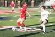 Hendersonville Soccer (BR3_9133)