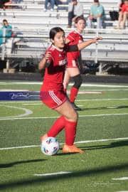 Hendersonville Soccer (BR3_9137)
