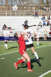 Hendersonville Soccer (BR3_9182)