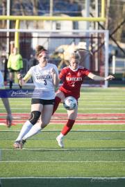 Hendersonville Soccer (BR3_9401)