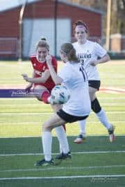 Hendersonville Soccer (BR3_9441)