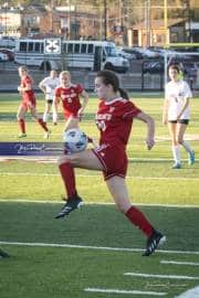 Hendersonville Soccer (BR3_9501)
