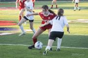 Hendersonville Soccer (BR3_9510)