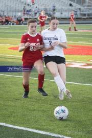 Hendersonville Soccer (BR3_9603)