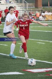 Hendersonville Soccer (BR3_9816)