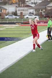 Hendersonville Soccer (BR3_9917)