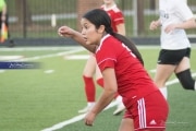 Hendersonville Soccer (BR3_9934)