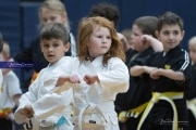 Premier Martial Arts (BR3_9051)