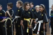 Premier Martial Arts (BR3_9084)