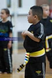 Premier Martial Arts (BR3_9091)