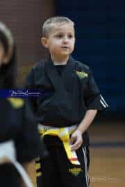 Premier Martial Arts (BR3_9103)