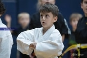 Premier Martial Arts (BR3_9112)