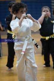 Premier Martial Arts (BR3_9131)
