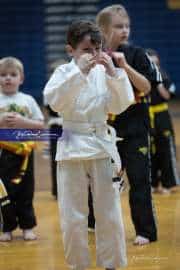 Premier Martial Arts (BR3_9134)