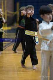 Premier Martial Arts (BR3_9141)