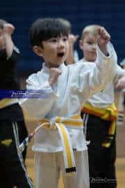 Premier Martial Arts (BR3_9146)