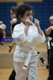 Premier Martial Arts (BR3_9150)