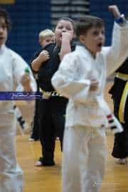 Premier Martial Arts (BR3_9158)