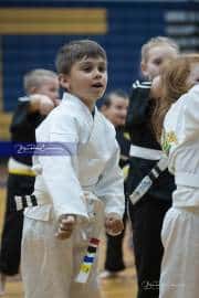 Premier Martial Arts (BR3_9164)