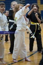Premier Martial Arts (BR3_9165)