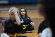 Premier Martial Arts (BR3_9175)