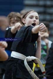 Premier Martial Arts (BR3_9192)