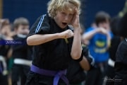 Premier Martial Arts (BR3_9197)