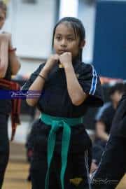 Premier Martial Arts (BR3_9205)