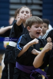 Premier Martial Arts (BR3_9234)