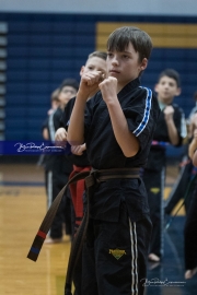 Premier Martial Arts (BR3_9237)