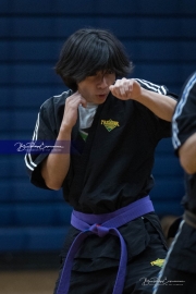 Premier Martial Arts (BR3_9262)