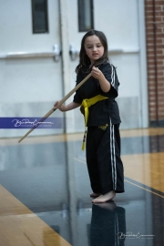 Premier Martial Arts (BR3_9372)