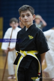 Premier Martial Arts (BR3_9374)