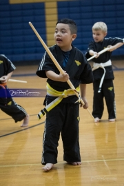 Premier Martial Arts (BR3_9384)