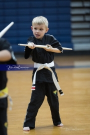 Premier Martial Arts (BR3_9388)