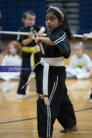 Premier Martial Arts (BR3_9392)