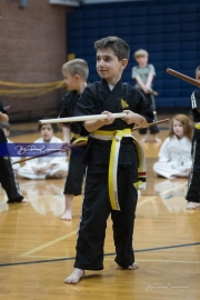 Premier Martial Arts (BR3_9400)